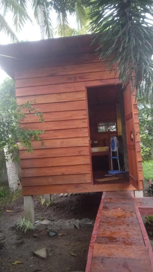 Coco Cabins By Thush ベントータ エクステリア 写真