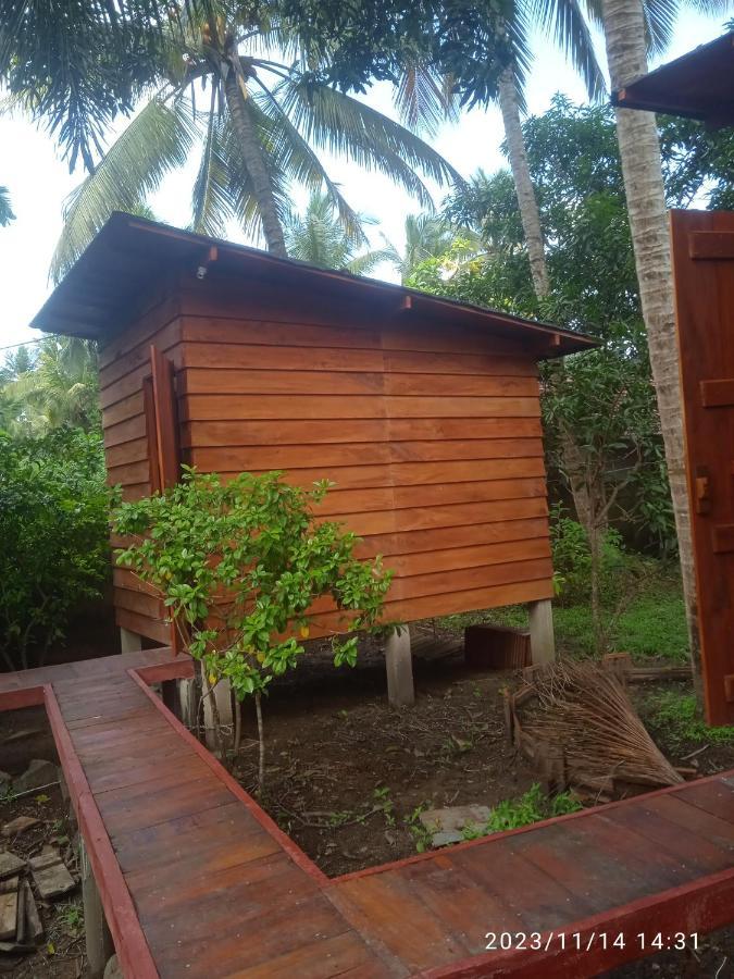 Coco Cabins By Thush ベントータ エクステリア 写真