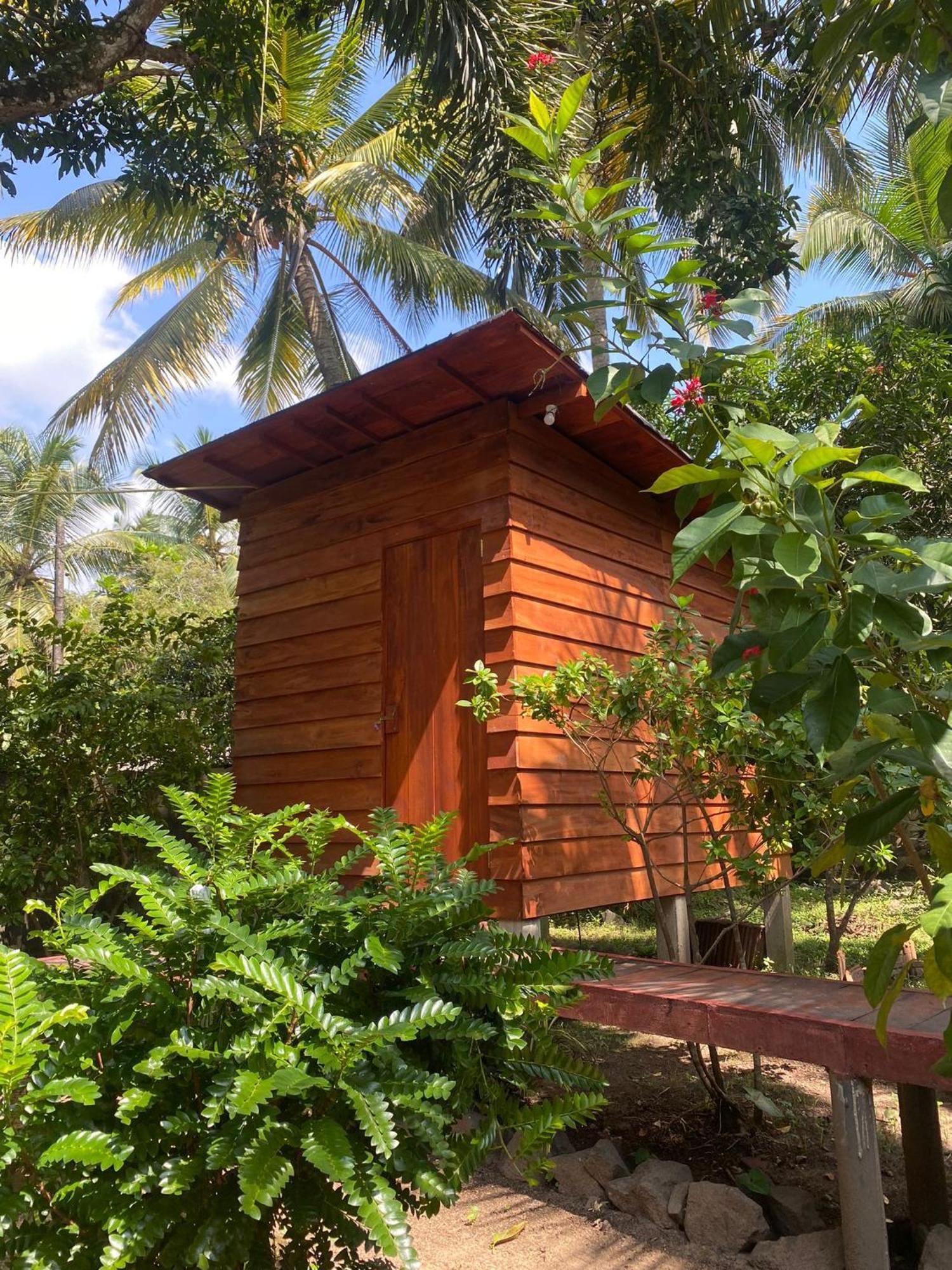 Coco Cabins By Thush ベントータ エクステリア 写真